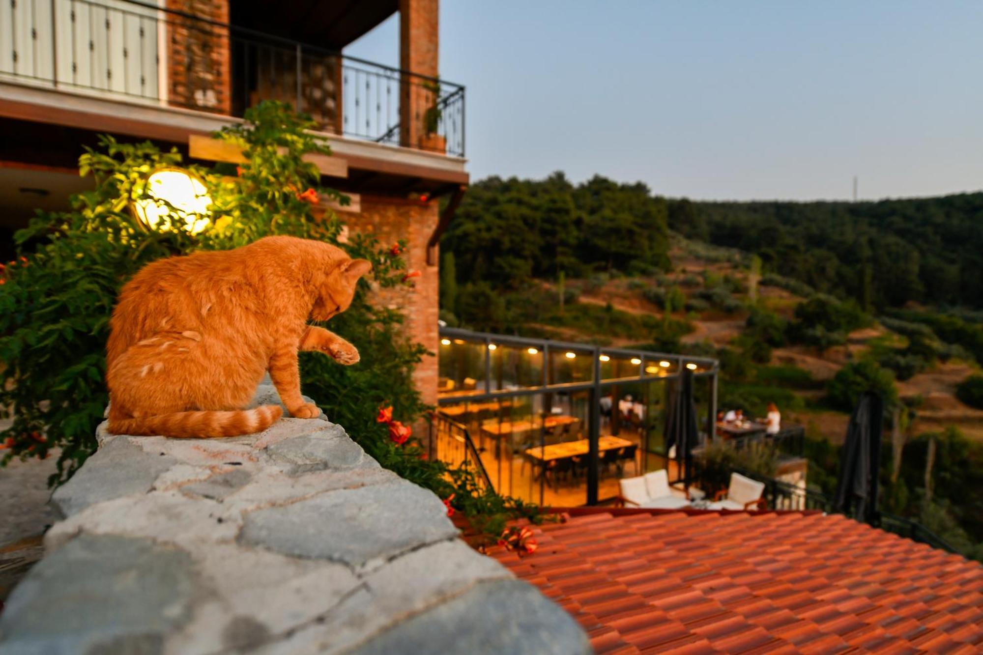 Ephesus Retreat Hotel İzmir Exterior foto