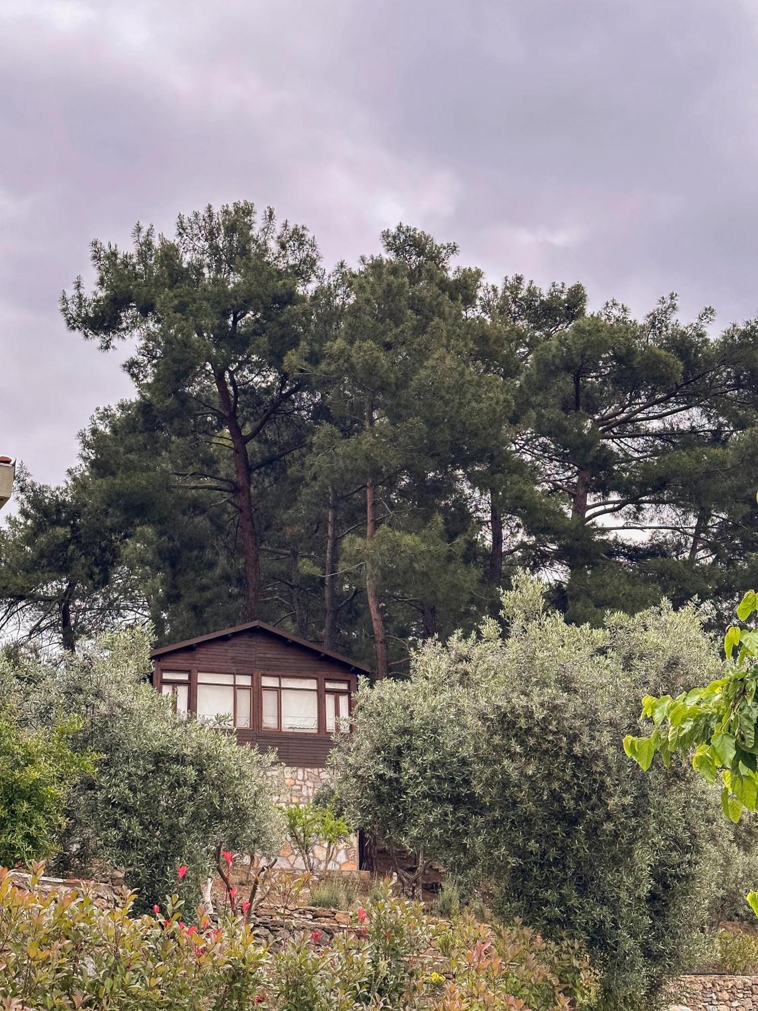 Ephesus Retreat Hotel İzmir Exterior foto